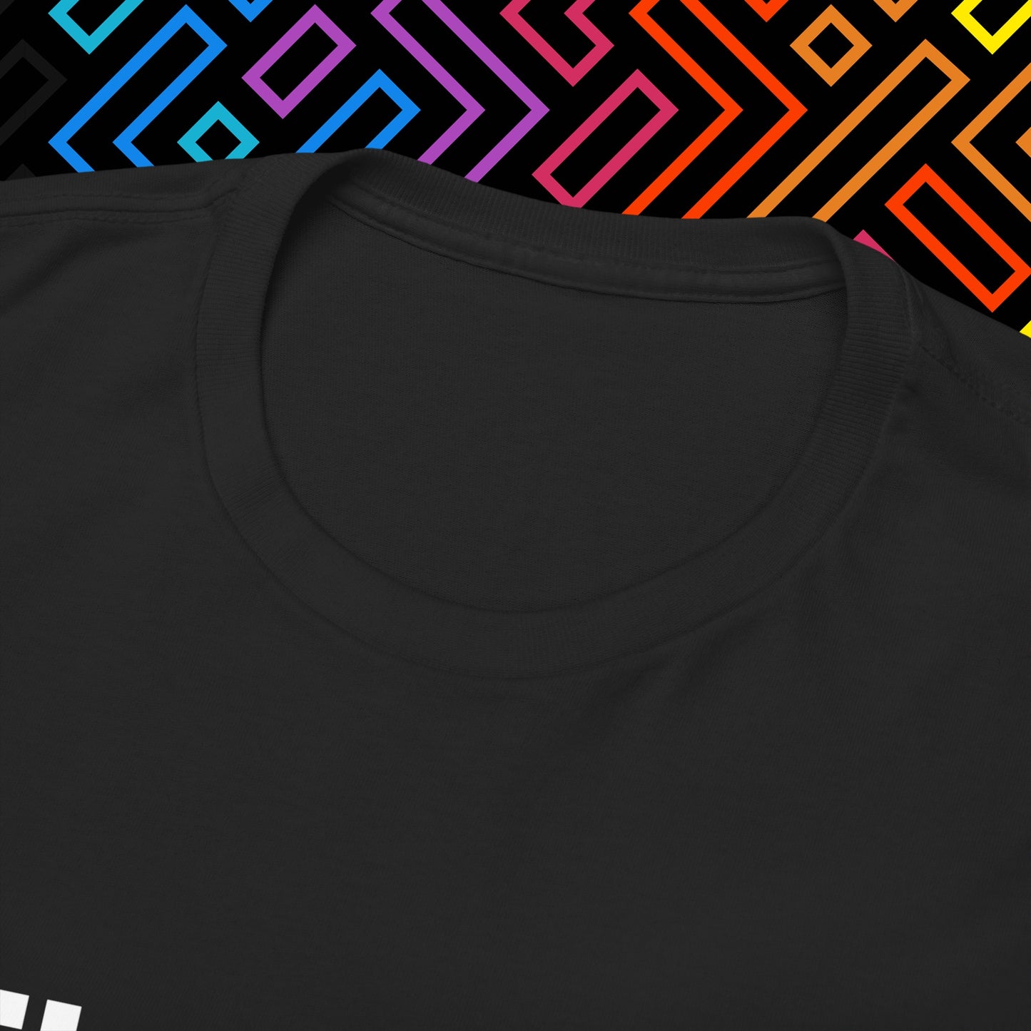 "Lehrergehalt" T-Shirt Unisex